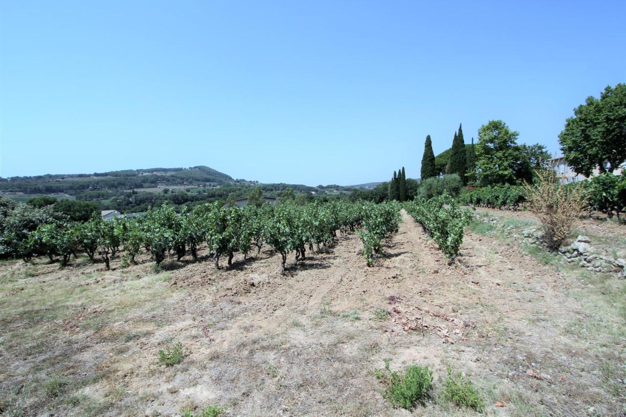Bastide La Marraine Villa Le Castellet  Kültér fotó